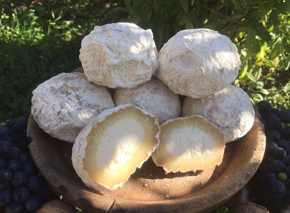 сыр дамбал хачо